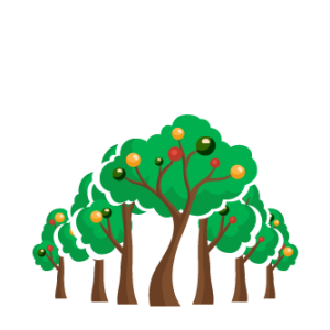 Forêt vierge
