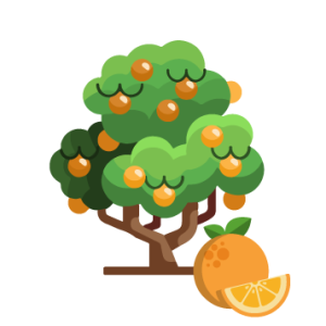 Oranger 3